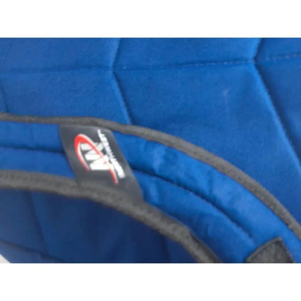 New England Patriots Backpack Large School Book Bag NFL Fan Pack